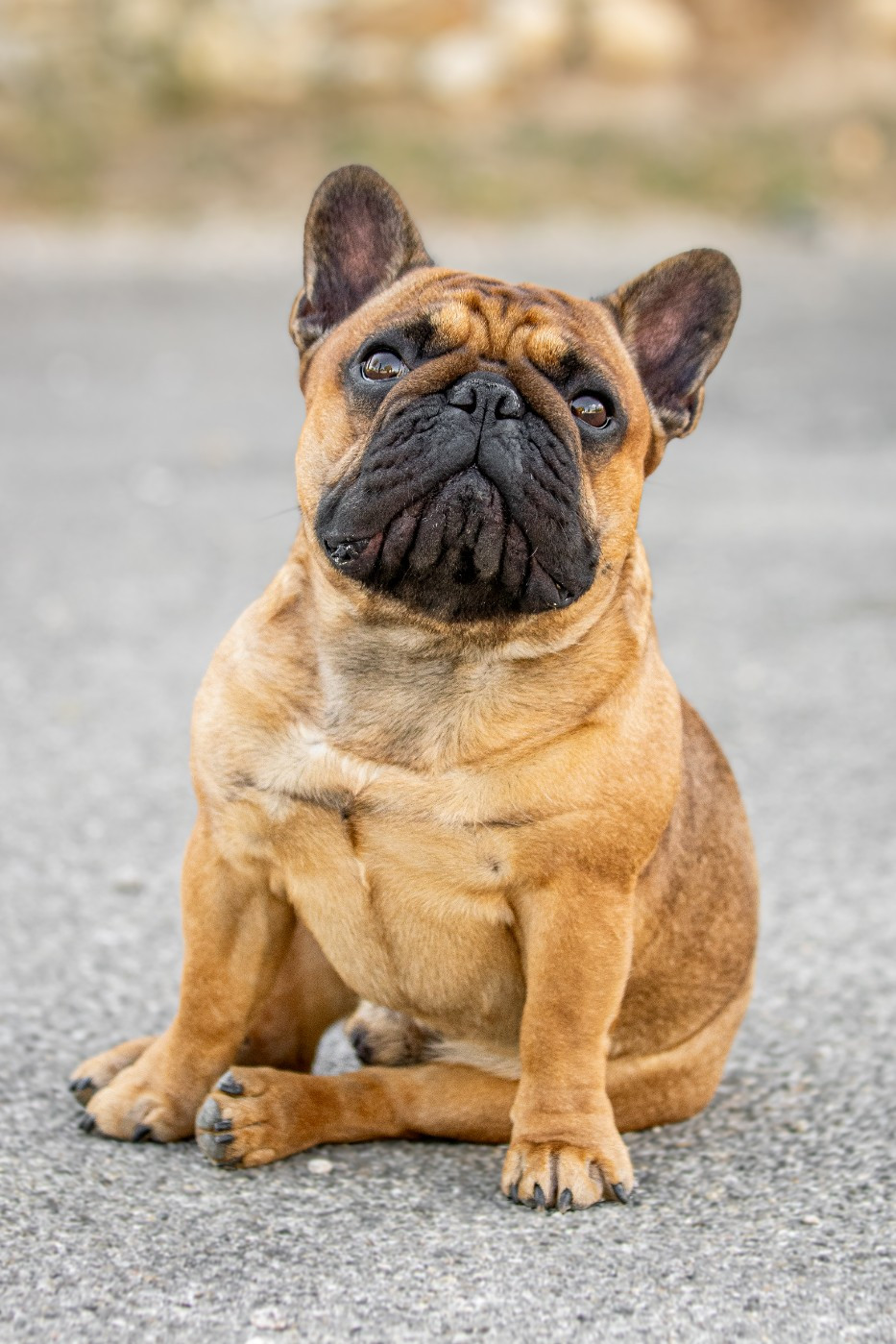 Undy at Crazy Dreams of Corabelli