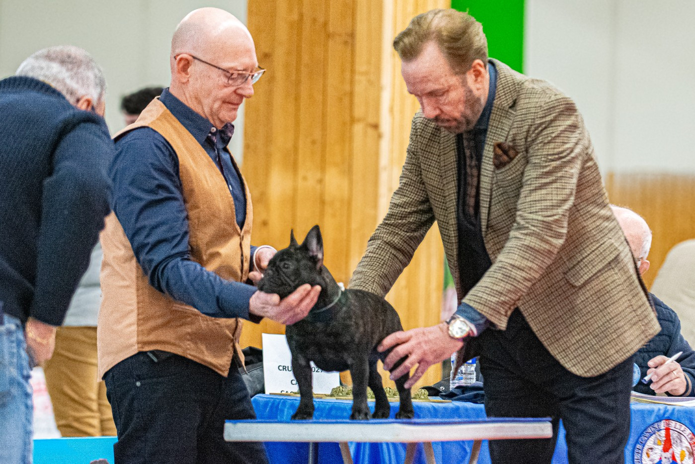 Yuzu at Crazy Dreams of Corabelli